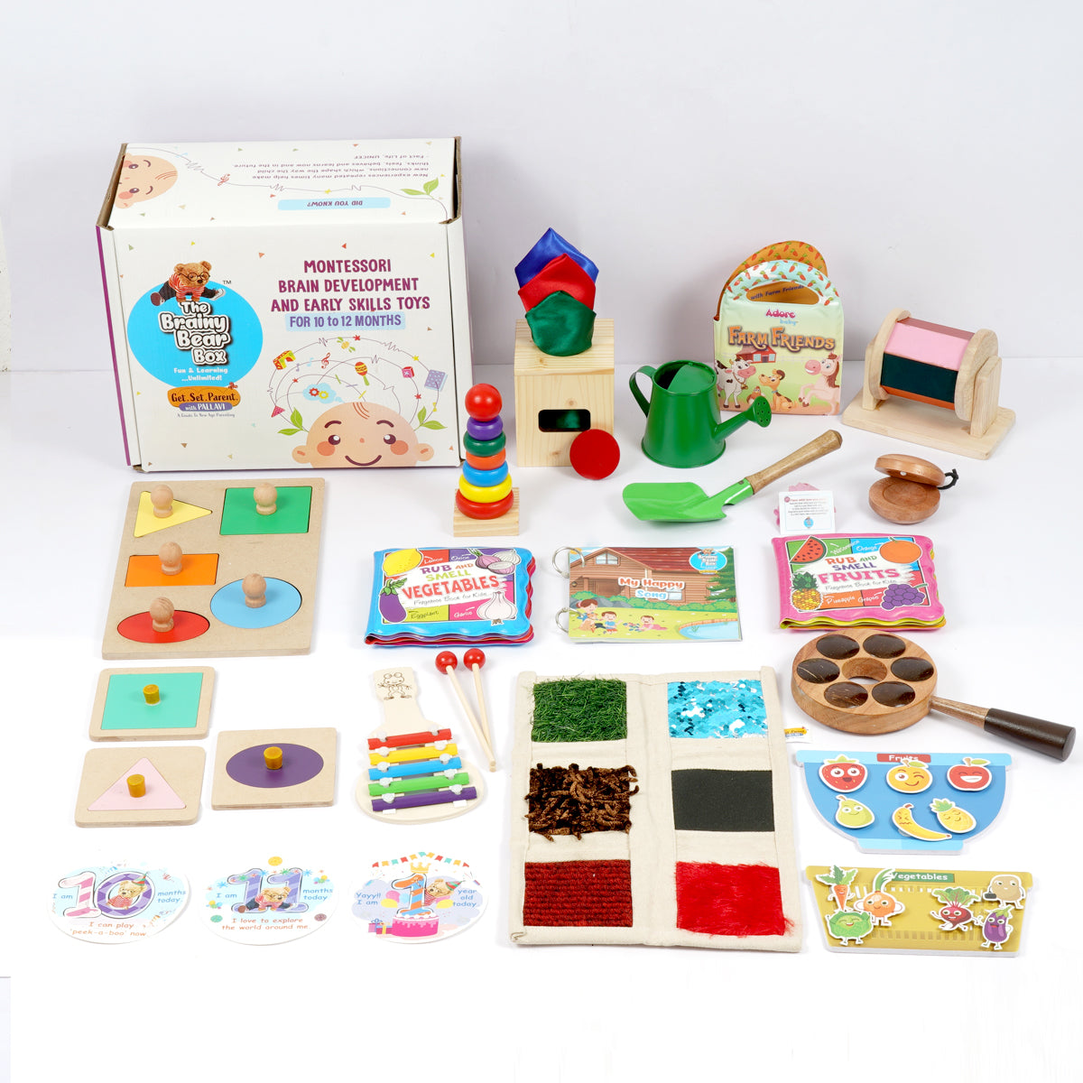 Montessori & Brain Development Toys for 1012 Months The Brainy Bear