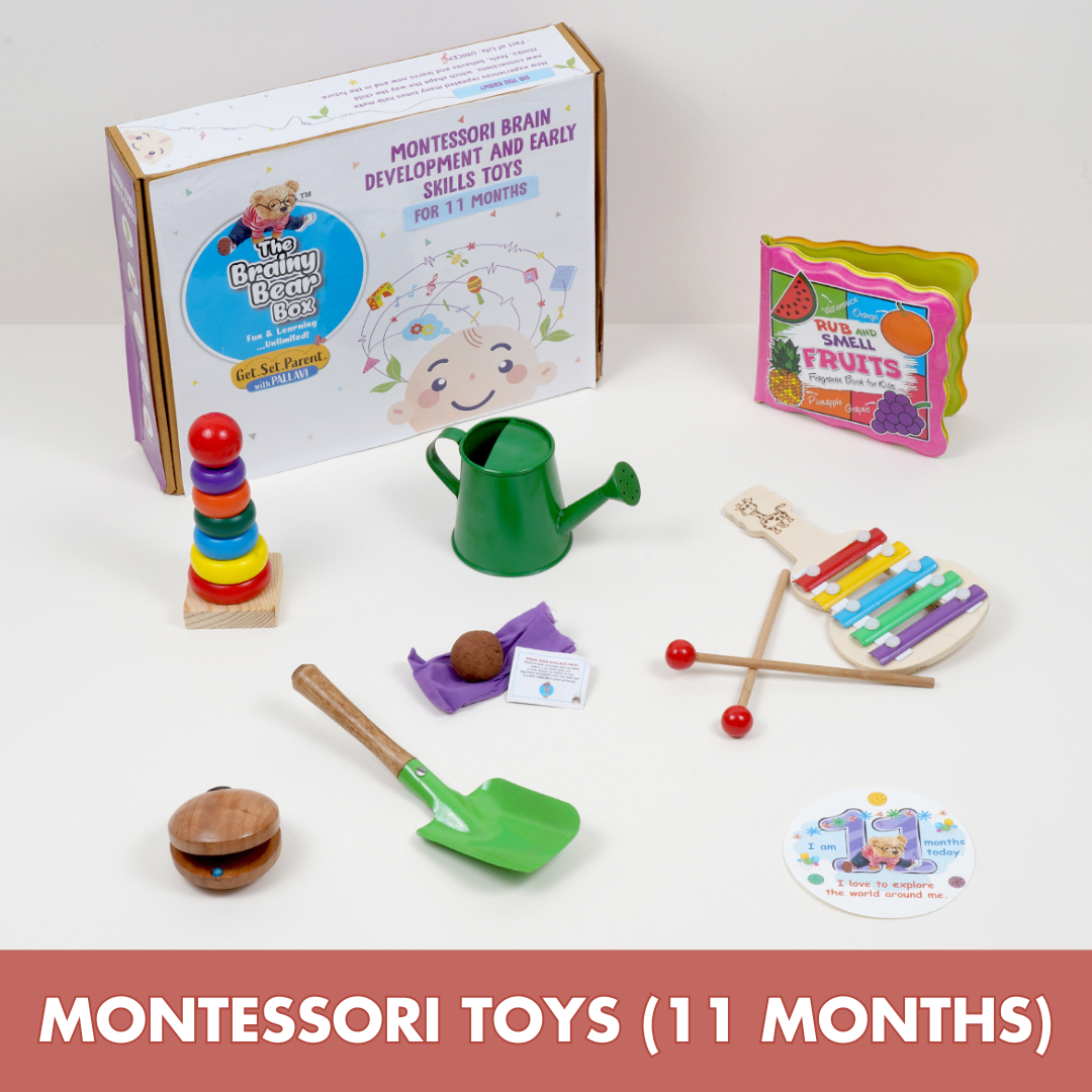 Montessori Toys for 11 Months Old Baby The Brainy Bear Store