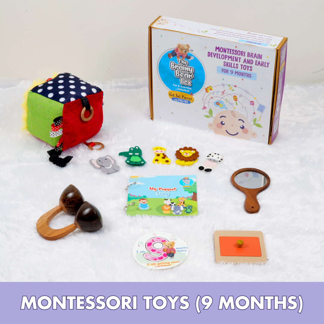 Montessori Toys for 9 Months Old Baby The Brainy Bear Store