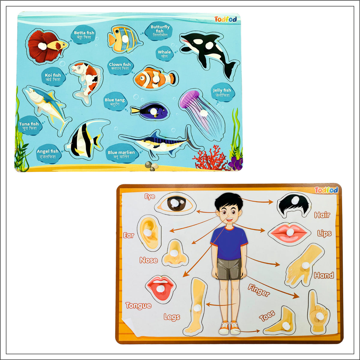 Brainy Fish Fish & Body Parts Puzzle – The Brainy Bear Store