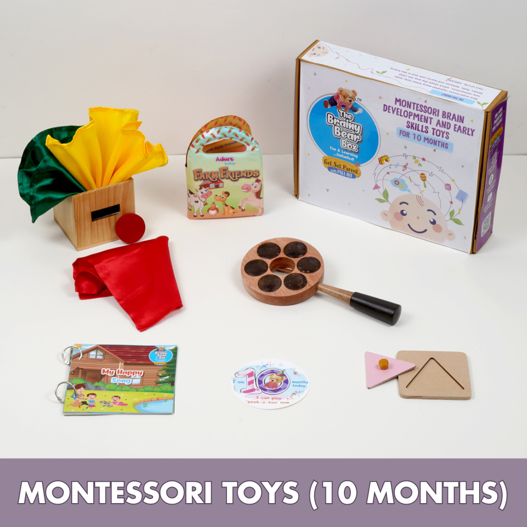 Montessori Activity Toys for 10 Months