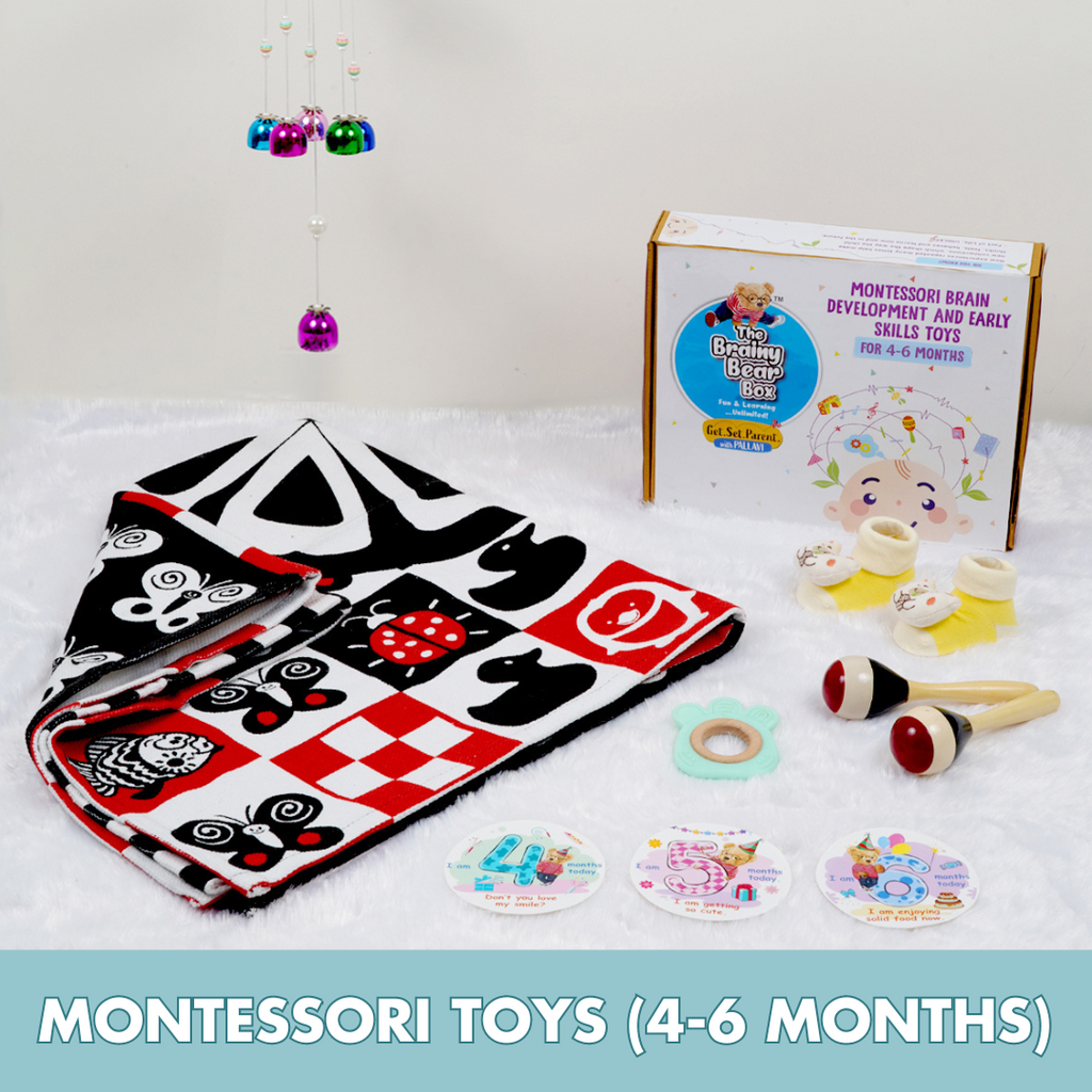 Developmental toys online subscription box