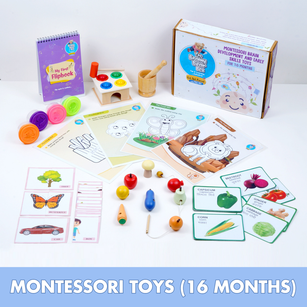 Montessori Toys for 16 Months Old Baby The Brainy Bear Store