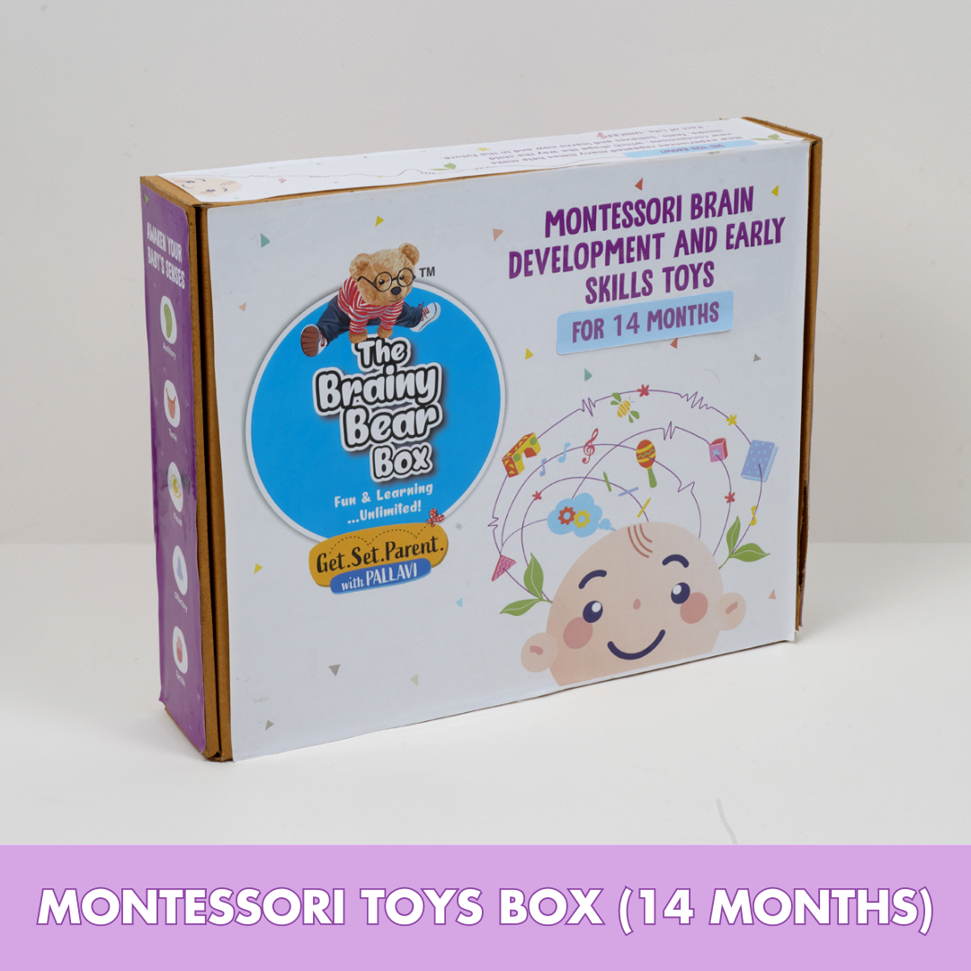 Montessori Toys for 14 Months Old Baby The Brainy Bear Store